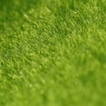 thumbnail image 4 of PENGXIANG Simulation Moss Lawn Turf Mat DIY Micro Garden Landscape Wall Ecology Ornaments, 4 of 7