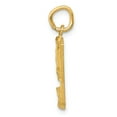 thumbnail image 2 of 14K Yellow Gold Charm Pendant Themed 9 Diamond-Cut 22 mm, 2 of 3