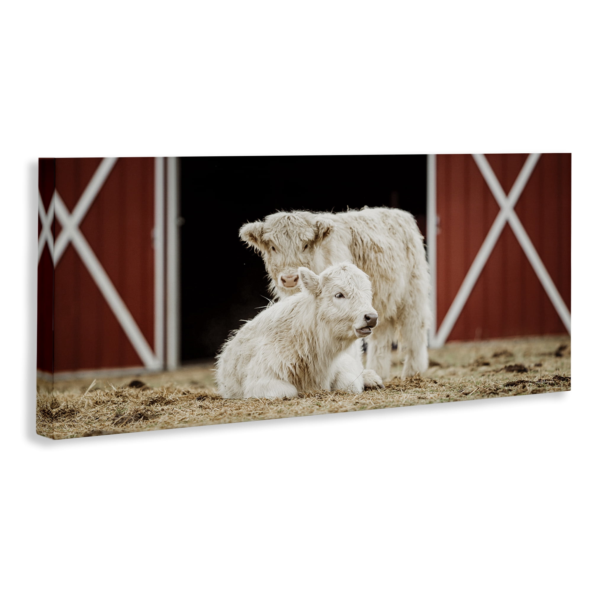 Stupell Industries White Cattle Barn Animals & Insects Photography Gallery Wrapped Canvas Art Print Wall Art, 24 x 10