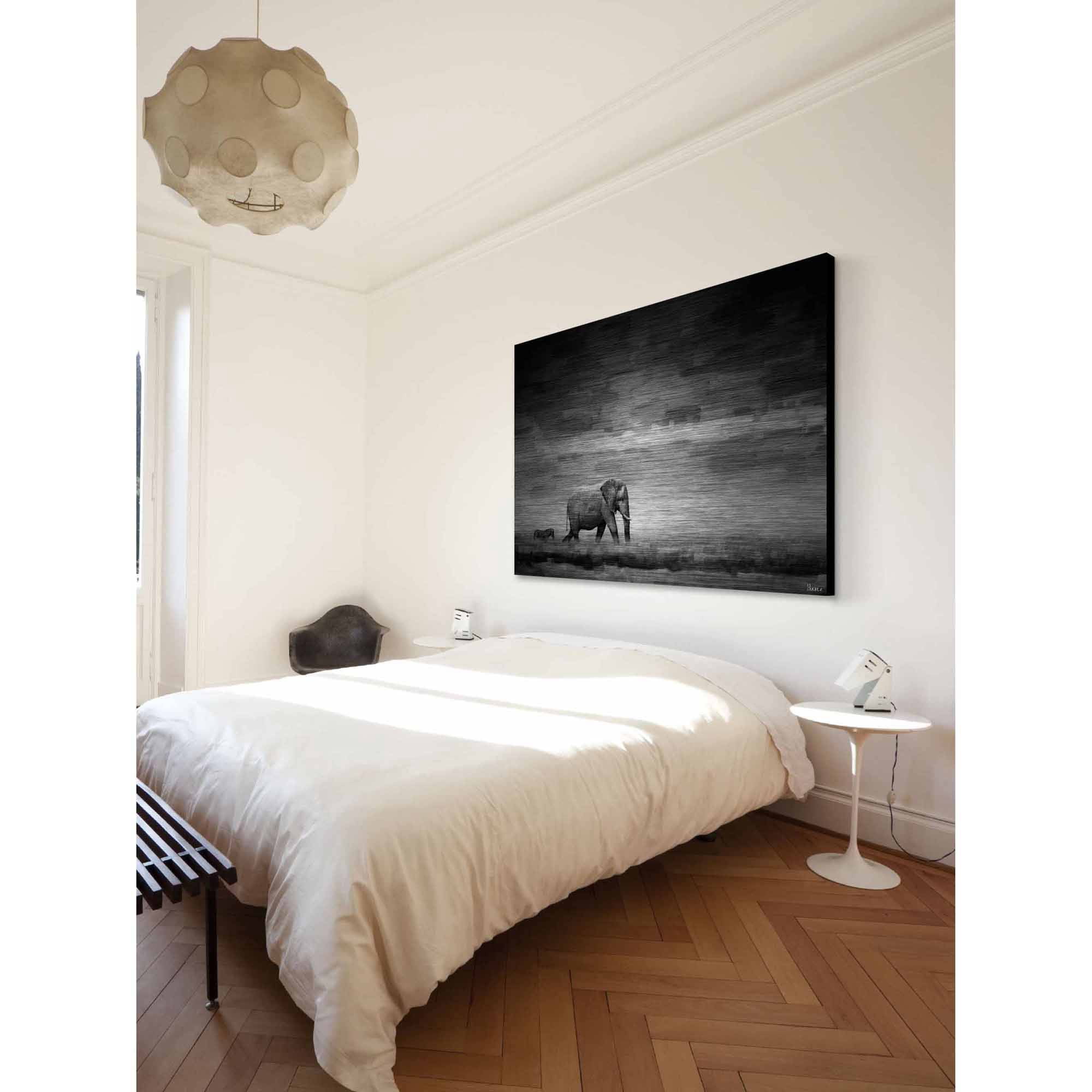 Parvez Taj Elephant Art Print on Brushed Aluminum