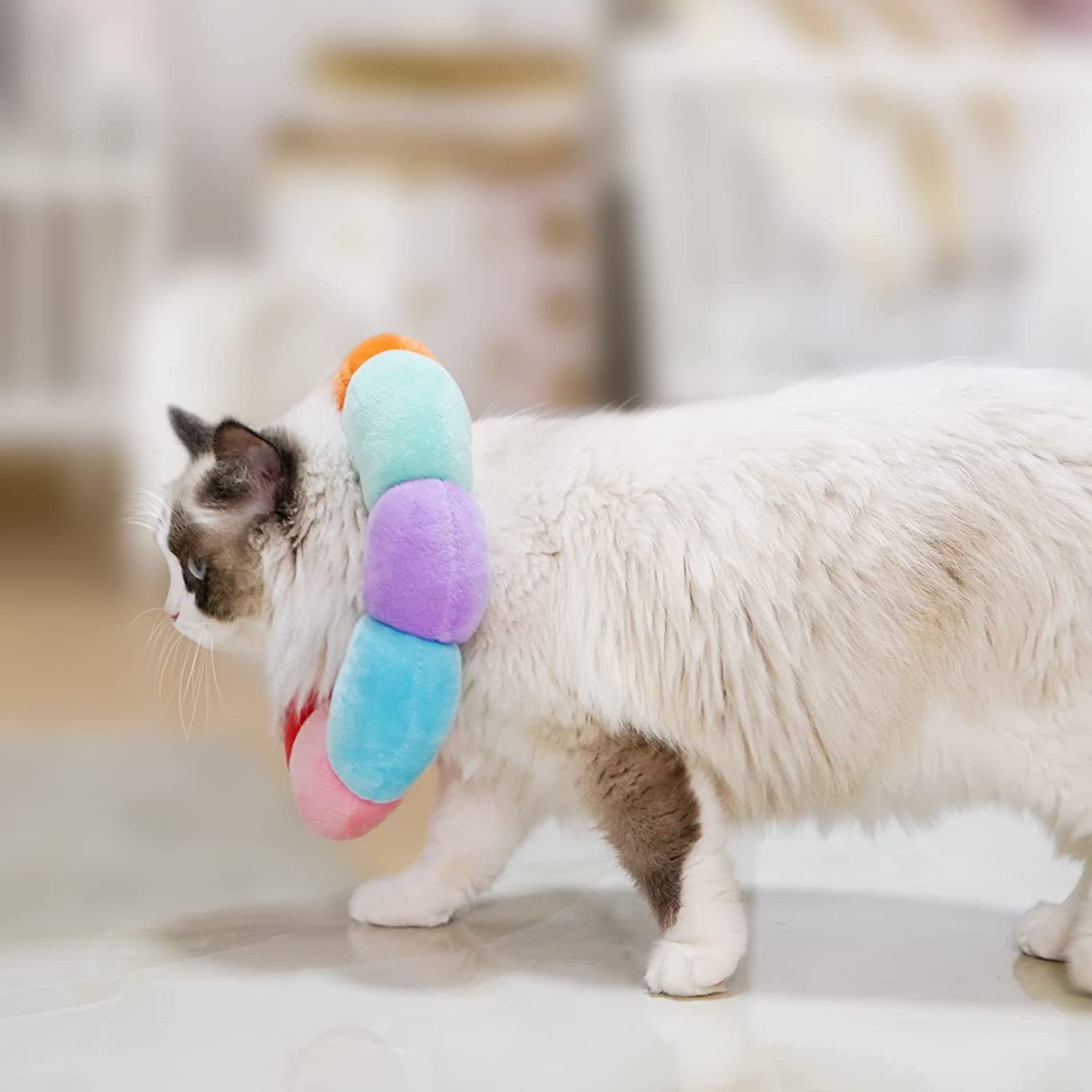 Elizabethan Cat Cone After Surgery Sunflower Cat Dog Cone GAPZER Adjustable Cat E-Collar Soft Cone for Cat Small Dog and Puppy 