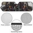 thumbnail image 6 of KUIFORTI Dachshund Car Sun Shade Funny Sun Shield for Car Windshield Cute Automotive Accessories fit for Jeep Wrangler JL JLU 2018-2025 / Jeep Gladiator 2020-2025, Easy to Install, 6 of 6