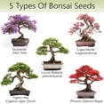 thumbnail image 2 of Bonsai Tree Kit – 5X Unique Japanese Bonzai Trees | Complete Indoor Bonsai Starter Kit for Growing Bonsai Plants with Tools & Planters – Gardening Gifts for Women & Men, 2 of 6