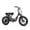 Black, variant on Addmotor Moped-Style Electric Bike, 20" Fat Tire Step Through Electric Bicycle, 750W 48V 20Ah Electric Commuter City Cruiser Bike for Adults, M-66 Green