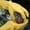 🔥 Yellow, variant on Msgweeeg Work Gloves Garden Gloves Garden Gardening Gloves Garden Gloves Long Sleeve Wrist Stab Proof Garden Gloves Work Gloves Long Sleeve Gloves