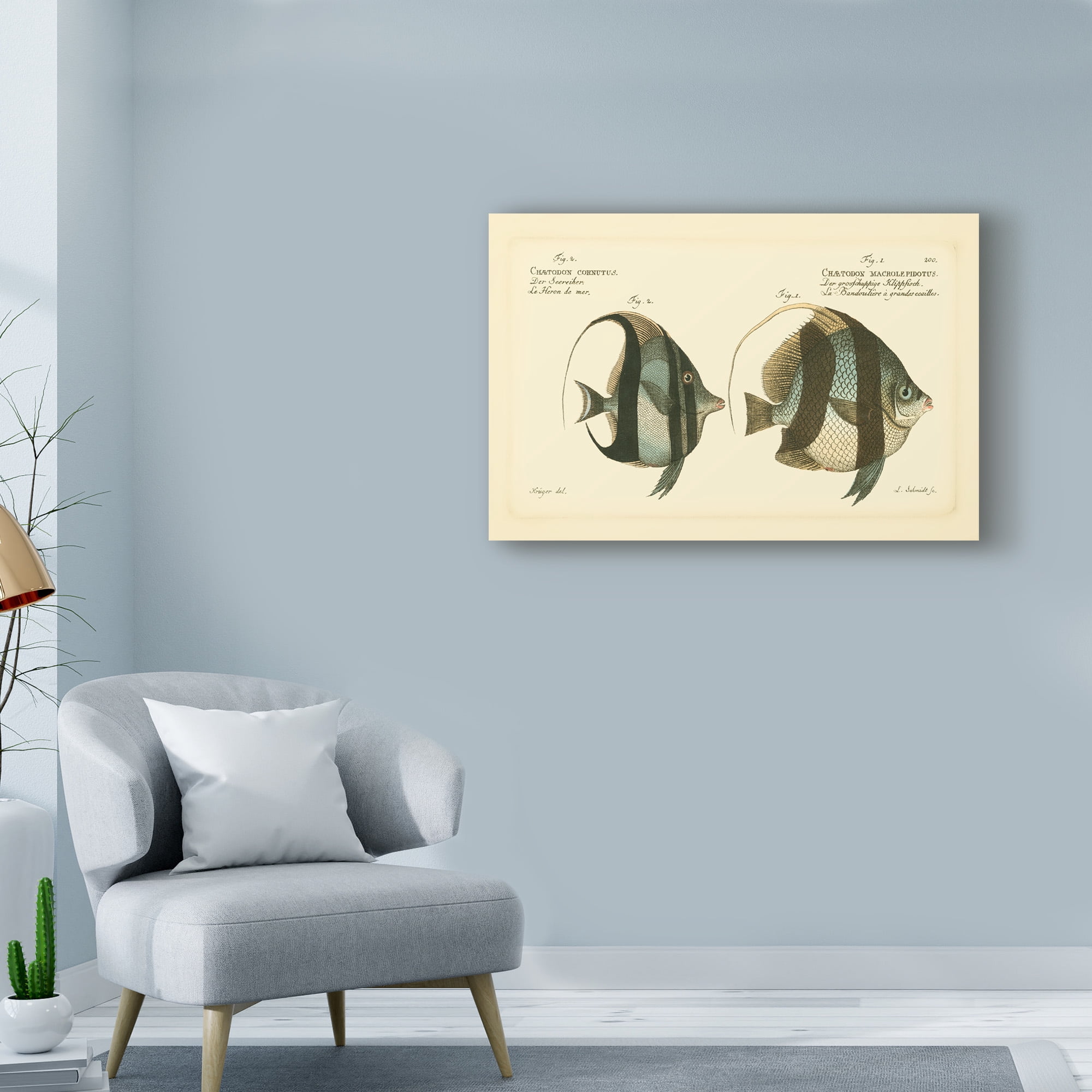 Trademark Fine Art 'Bloch Antique Fish I' Canvas Art by Bloch