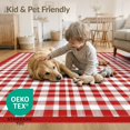 thumbnail image 4 of ODIKA 6'x9' Washable Area Rug Non-Slip, Easy Care, Front Plaid Door Gingham Checkered Tartan Throw Farmhouse Border for Family Room, Living Room, Master Bedroom, 4 of 7