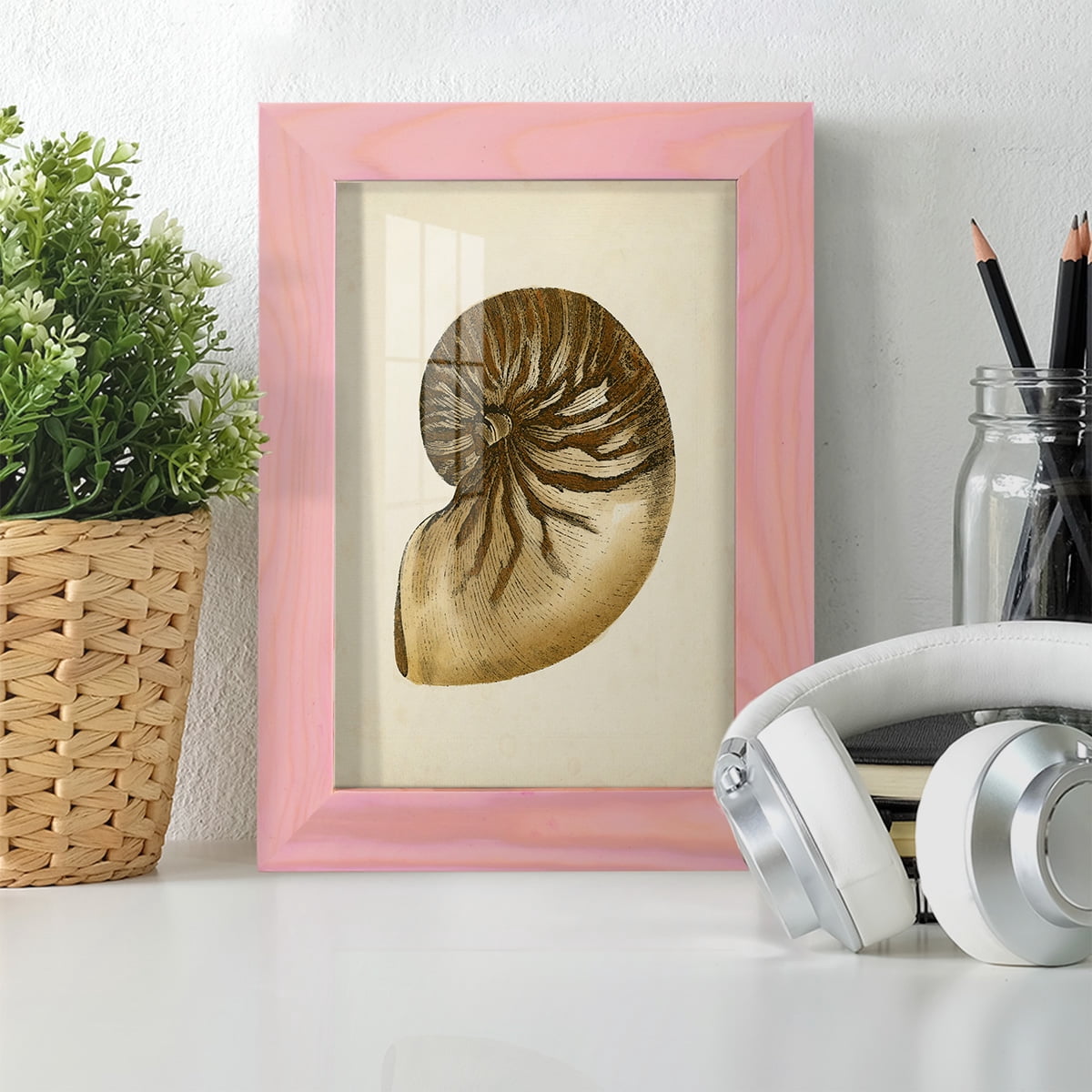 Sealife Collection V - Framed Print w/glass - Sunset Pink