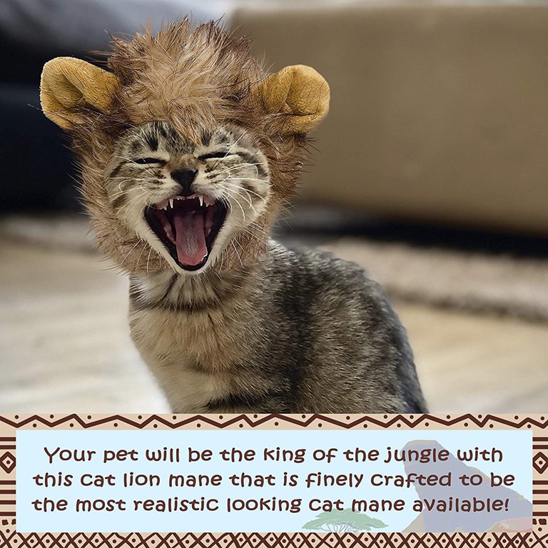 Cat In Lion Costume Meme Authorized Dealers www.meesenburg.kz