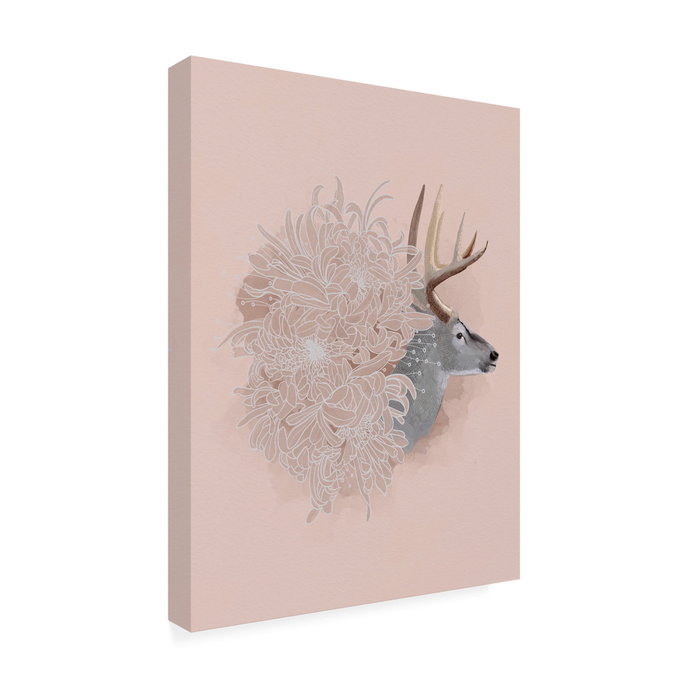 Trademark Fine Art Katie O'Shea Buck and Flower I Canvas Wall Art