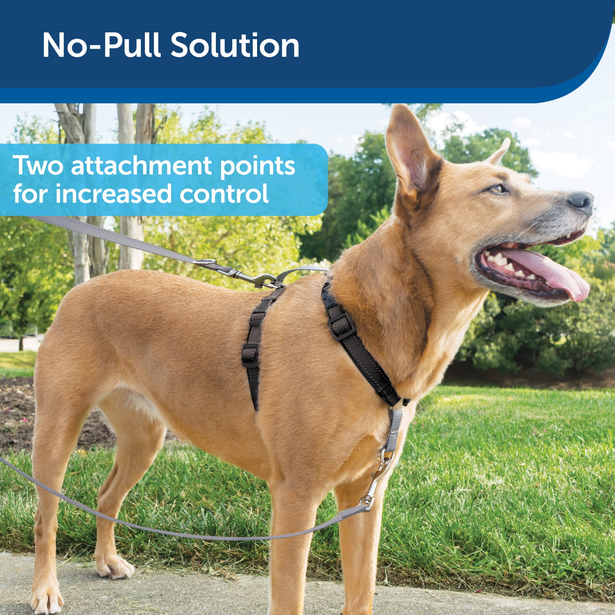 PetSafe® 3 in 1 Harness with Two Point Control Leash, Medium, Black
