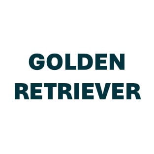 Golden Retriever Pill Butter