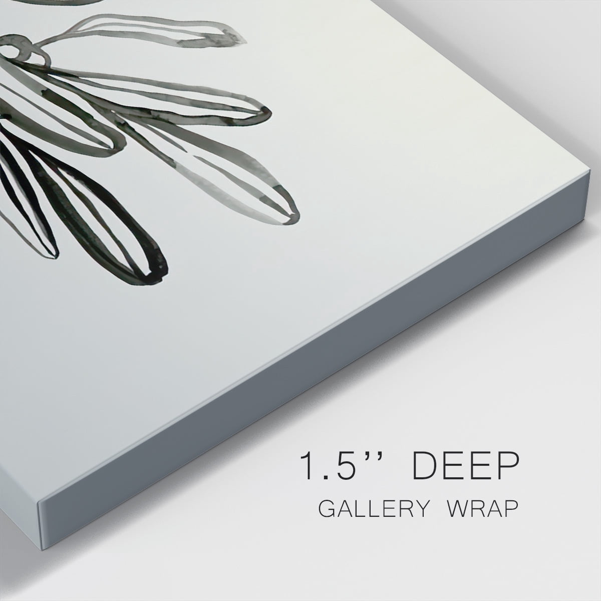 Mistletoe Sketch I- Gallery Wrapped Canvas