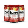 Humm Kombucha Strawberry Lemonade, (4 Pack of 1)