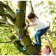 thumbnail image 5 of Juego de 6 piedras de escalada con 6 correas de trinquete Presas de escalada Ninja Tree para niños Escalada al aire libre Xemadio LN-1464, 5 of 6