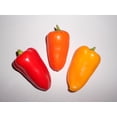thumbnail image 1 of GSDWIUEW Wow->>>Snack Pepper Mix Seeds 30+ (Red+Orange+Yellow) by Samenchilishop(World), 1 of 1