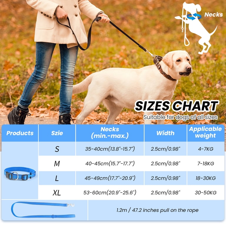 MASBRILL Reflective Dog Collar and Leash Set with Dog Tag photo 4