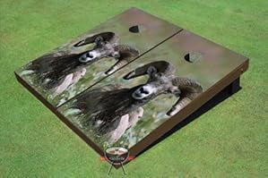 University Of Wyoming Portable Table Tennis Ping Pong Folding Table w/Accessories