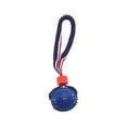 thumbnail image 2 of Dpityserensio Pet Toy Tire Ball With Elastic Rope Dog Training Toy Chew And Teething Ball Perfectly For Interactive Play, 2 of 6