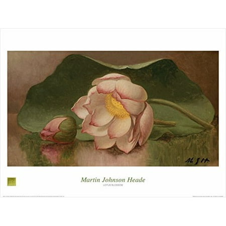 Famous Flower - Lotus Blossom 1885-95 by Mart Johnson Heade 24x32 Art Print Poster Famous Painting Floral Still Life Pink Flower