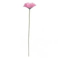 thumbnail image 1 of Artificial Chrysanthème Simulation Décor Maison Table de Fête Pièce Maîtresse Faux Fleur Rose, 1 of 9