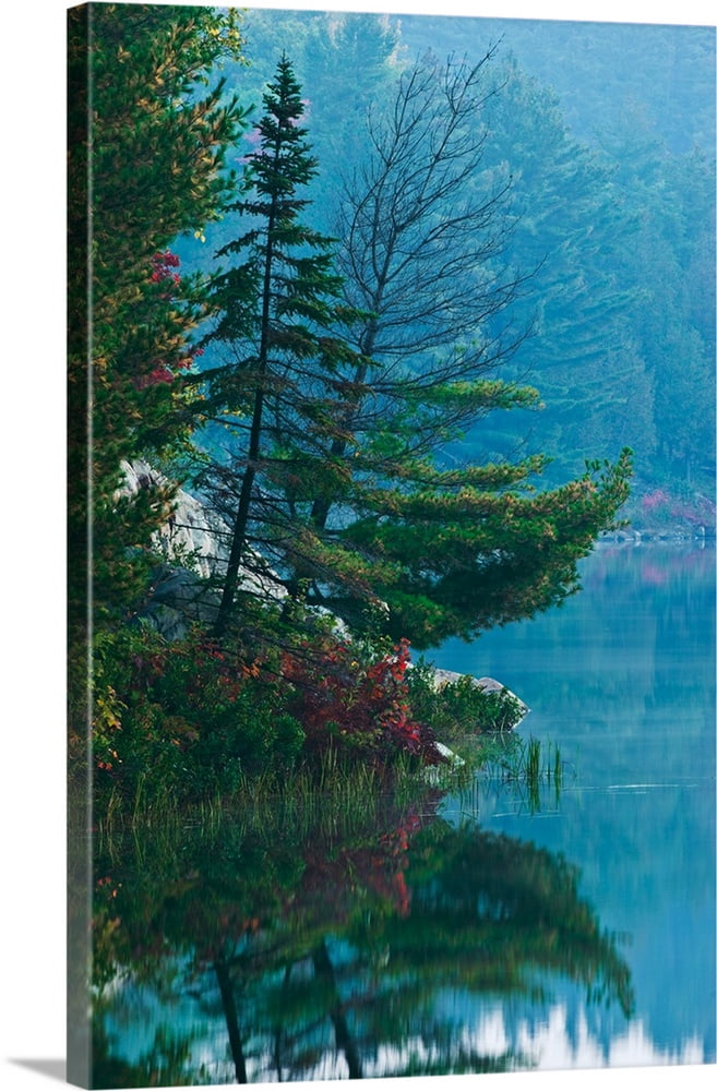 Great BIG Canvas | "Shoreline Of George Lake, Killarney Provincial Park