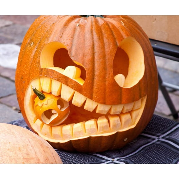 CZ Grain 20 Big Max Pumpkin Plant Seeds, Non-GMO Easy to Grow