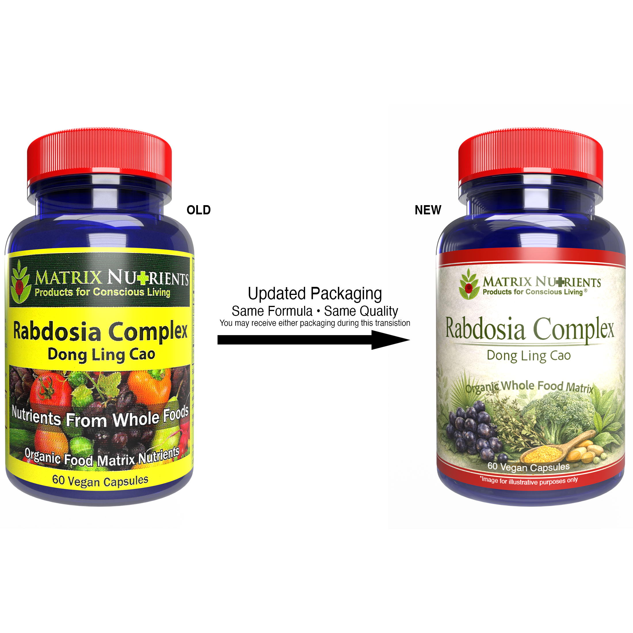 RABDOSIA Complex - Highly Potent Antioxidant for Maximum Cell Protection! - 100% Natural Ingredients: Rabdosia Extract, Green Tea, Resveratrol, Rutin - Vegan Capsules (60ct)