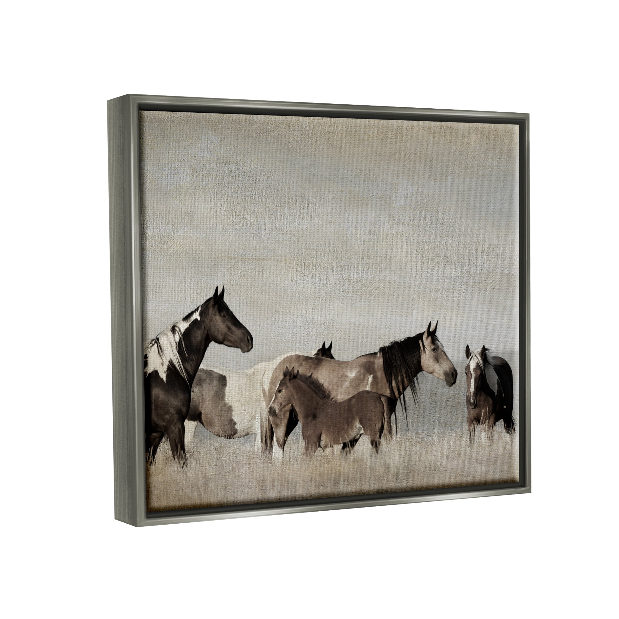 Stupell Industries Horse Family Foals Grazing Animals & Insects Photography Gray Floater Framed Art Print Wall Art