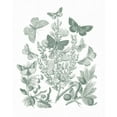 thumbnail image 2 of Wild Apple Portfolio 12x14 Black Ornate Wood Framed with Double Matting Museum Art Print Titled - Butterfly Bouquet II Sage, 2 of 4