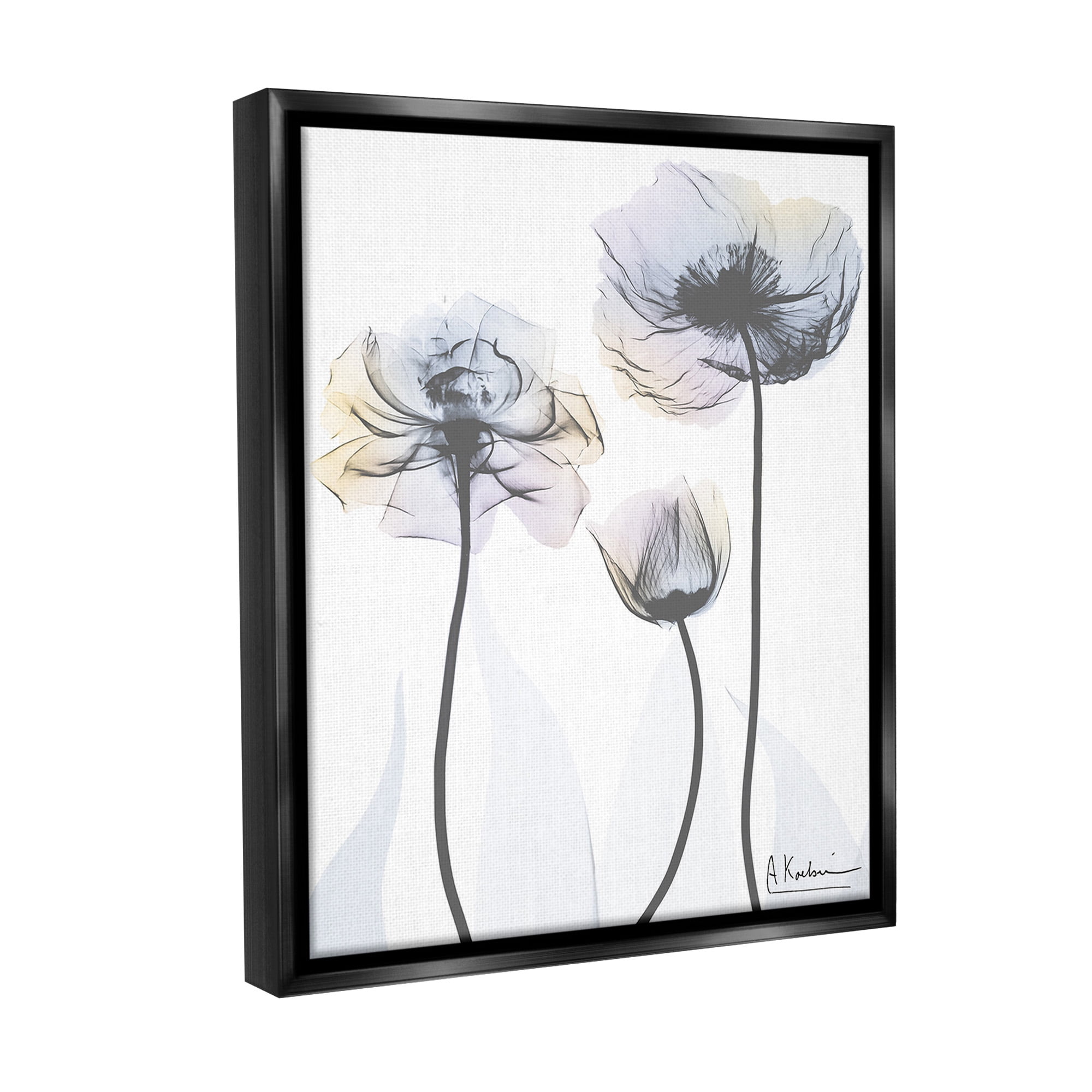 Stupell Industries Poppy Flower Trio Botanical & Floral Photography Black Floater Framed Canvas Art Print Wall Art, 25 x 31