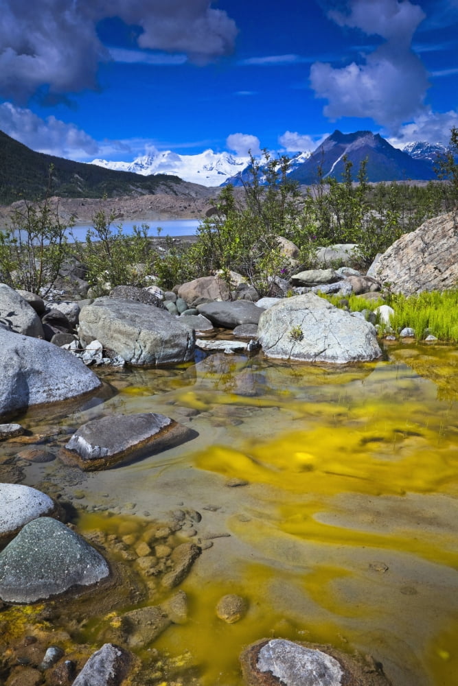 Moss Growing In A Small Creek By Kennicott Glacier With (R To L) Mt Donoho Atna Peaks And Rime Peak In The Background Wrangell St Elias National Park & Preserve Southcentral Alaska Summer Canvas Art -