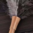 thumbnail image 4 of Fluffy Natural Ostrich Feather Duster Wooden Handle Household Cleaning Tool, 4 of 7