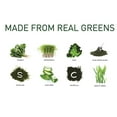 thumbnail image 6 of 8Greens Effervescent Super Greens Dietary Supplement - 8 Essential Healthy Real Greens in One (1 Tablet/Single Serve Sachet), 6 of 9