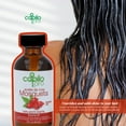 thumbnail image 6 of (3 pack) Capilo Pro Rose Hip Oil, Hair & Skin Nourishing Treatment, 100% Vegetable Oil, 2 oz, 6 of 9