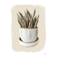thumbnail image 3 of House Fenway 19x24 Black Modern Framed Museum Art Print Titled - House Plant I, 3 of 5