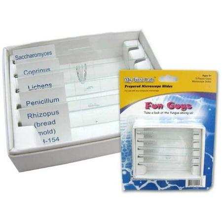 My First Lab 5PC Fun Guys Fungus Prepared Microscope Slides By American Science Surplus