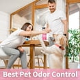 thumbnail image 4 of Paws and Play (32oz) Pet Stain and Pet Odor Eliminator For Pet Urine, Feces, Vomit, and More, 4 of 7