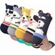 thumbnail image 1 of 5 pares de calcetines divertidos con diseño de animales para mujer, con diseño de gato y perro, talla única., 1 of 5