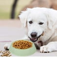 thumbnail image 4 of Gytml Candy Color Dog Bowls Round Puppy Water And Food Bowls Non- Easy To Clean Suitable For Small Dogs And Cats Green 13x15x5cm, 4 of 5