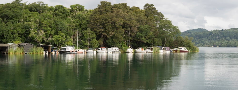Boats Docked Along
