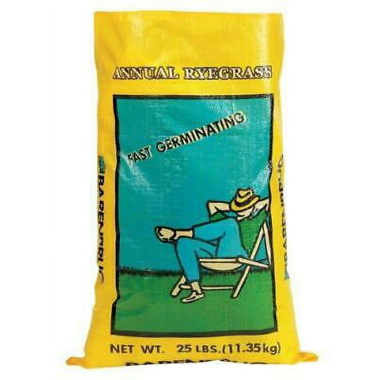 Barenbrug Annual Ryegrass Partial Shade/Sun Grass Seed 25 lb Barenbrug Annual Ryegrass Partial Shade/Sun Grass Seed 25 lb