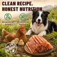 thumbnail image 4 of JoyGnaw Chicken Strips Dog Treats, High Protein Pure Chicken Snacks for All Dogs, 11 oz, 4 of 9