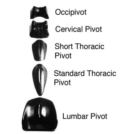 Short Thoracic Pivot (Chattanooga 00-4502 Pivotal Therapy System Occipivot, Short thoracic pivot (C) Use in combination with cervical (B) and lumbar (E) pivots, for craniosacral.., By Baseline from)