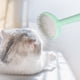 thumbnail image 1 of RKSTN cat Grooming Brush Pet Grooming Brush Double Sided Shedding And Dematting Undercoat Rake Comb For Dogs And Cats Extra Wide Dog Grooming Brush Dog Shedding Brush, 1 of 7