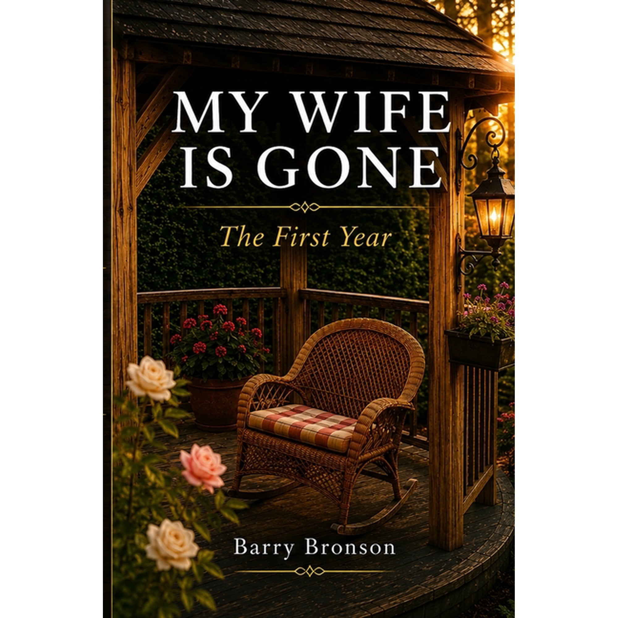 My Wife Is Gone: The First Year, (Paperback)