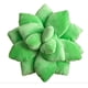 thumbnail image 2 of Almohadas carnosas, juguetes de peluche, cojines de oficina, cojines cómodos, muebles para el hogar multicolor, 2 of 6
