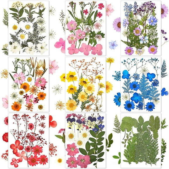 167 Pcs Real Dried Pressed Flowers Natural Dried Flowers Colorful Daisy Mixed Wildflowers Leave for DIY Candle Resin Nails Jewelry Pendant Crafts Floral Art