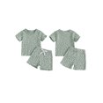 thumbnail image 2 of Toddler Baby Girls Shorts Clothing Set, 6 12 18 24 Months 2T 3T 4T Short Sleeve Crew Neck T-shirt with Shorts Floral Summer Outfit, 2 of 9
