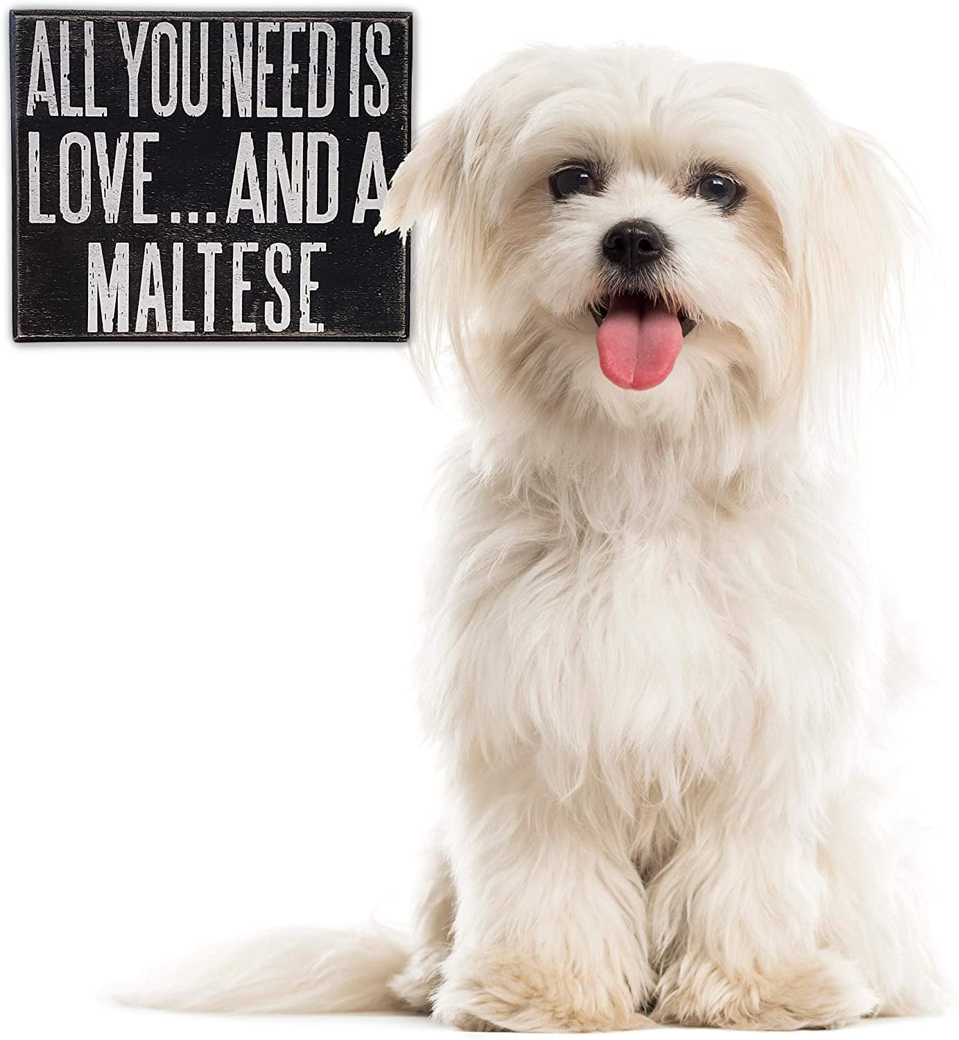 Maltese Gifts Maltese Mom JennyGems Maltese Sign 5x6 Inches Maltese Decor Maltese Dogs All You Need is Love and A Maltese Wood Sign